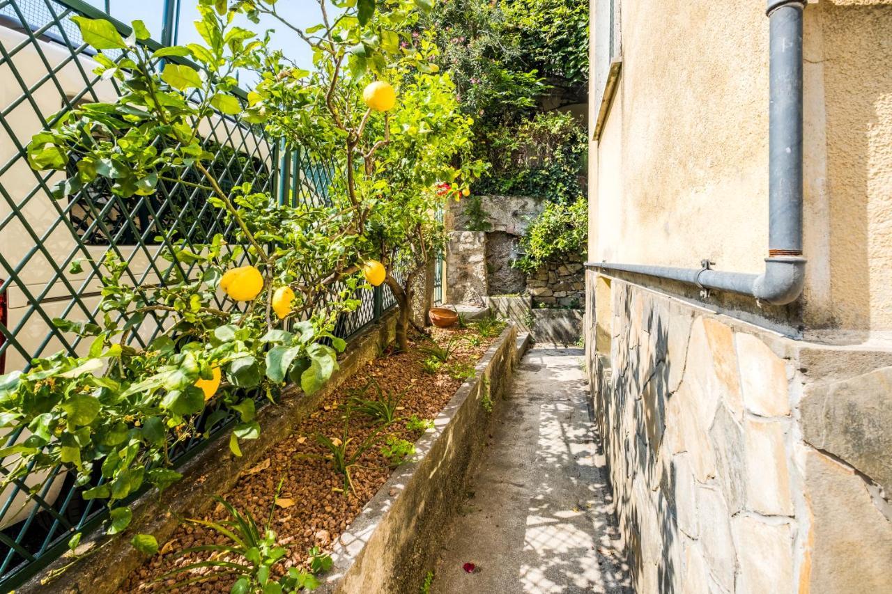 Fiordaliso Home סנטה מרגריטה ליגורה מראה חיצוני תמונה